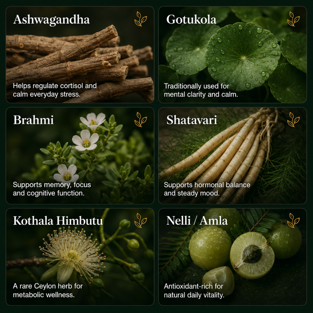 Bloom Ceylon™ Wellness Capsules