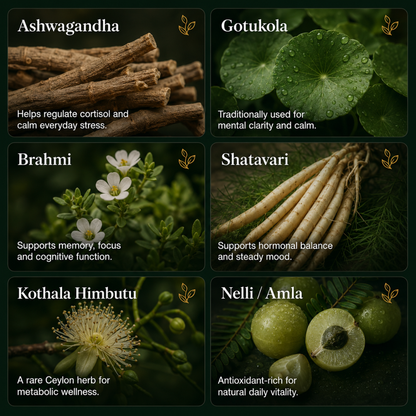 Bloom Ceylon™ Wellness Capsules