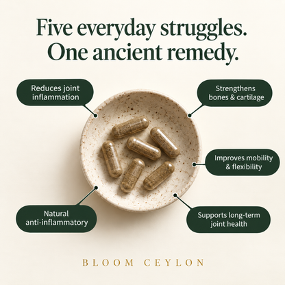 Bloom Ceylon™  Joint & Bone Support